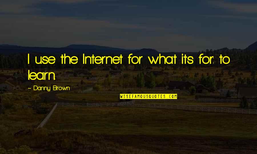 Armrest Pillows Quotes By Danny Brown: I use the Internet for what it's for: