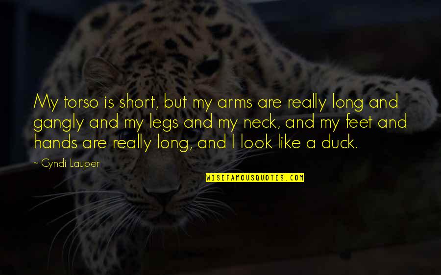 Arms And Legs Quotes By Cyndi Lauper: My torso is short, but my arms are