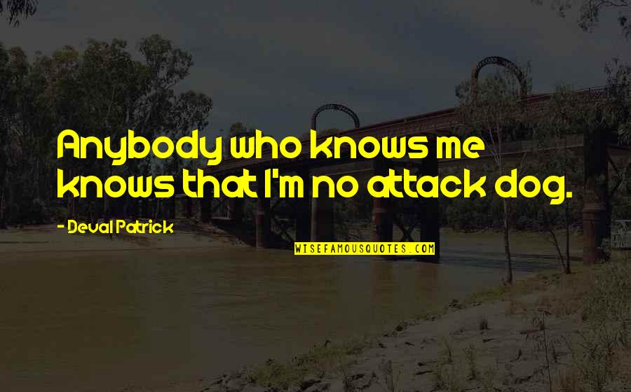 Arms For Switch Quotes By Deval Patrick: Anybody who knows me knows that I'm no