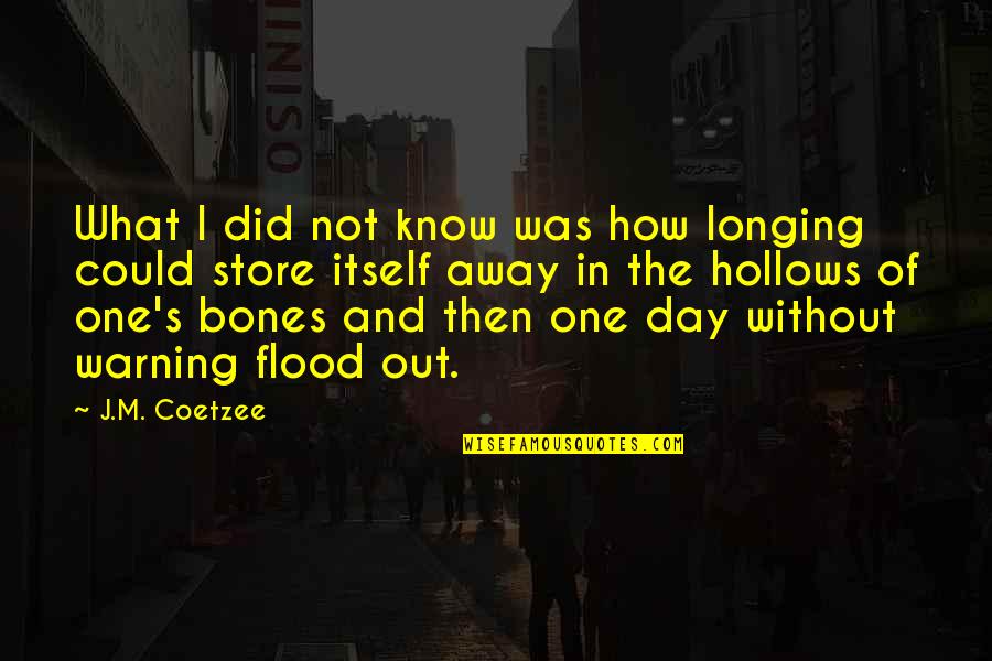 Arms For Switch Quotes By J.M. Coetzee: What I did not know was how longing