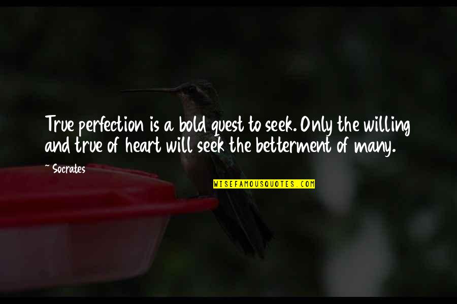 Arms Theme Quotes By Socrates: True perfection is a bold quest to seek.