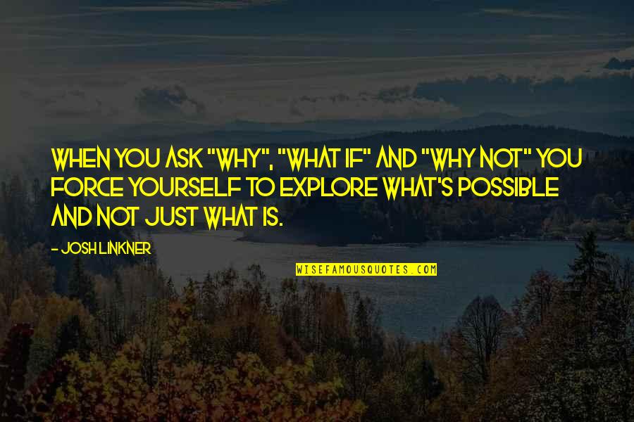 Armuchee Ga Quotes By Josh Linkner: When you ask "why", "what if" and "why