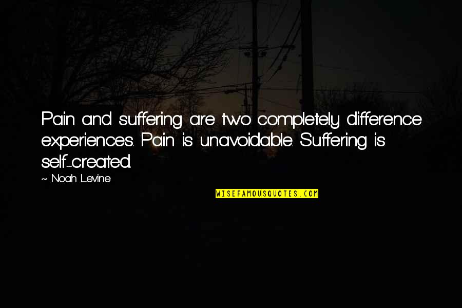 Army Captains Quotes By Noah Levine: Pain and suffering are two completely difference experiences.