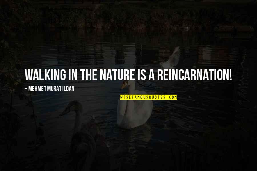 Army Counseling Quotes By Mehmet Murat Ildan: Walking in the nature is a reincarnation!