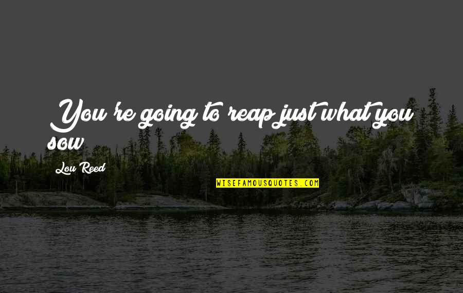 Army Heroes Quotes By Lou Reed: You're going to reap just what you sow