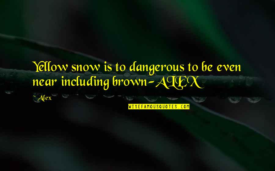 Army Mules Quotes By Alex: Yellow snow is to dangerous to be even