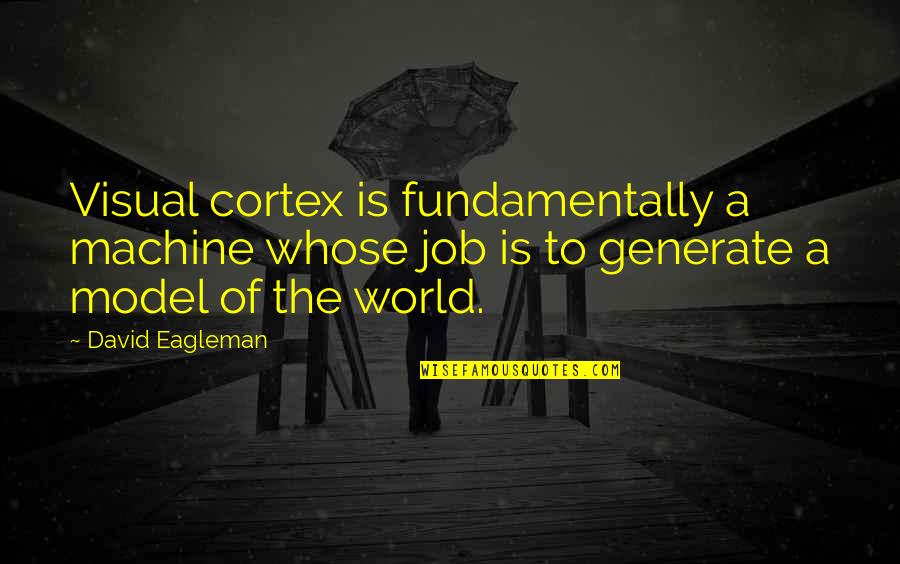 Army Veteran Quotes By David Eagleman: Visual cortex is fundamentally a machine whose job