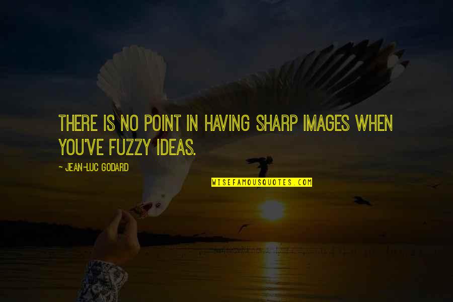 Army Wife Inspirational Quotes By Jean-Luc Godard: There is no point in having sharp images