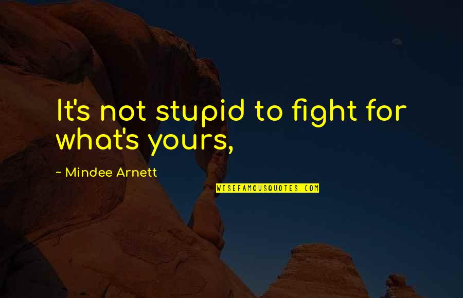 Arnett Quotes By Mindee Arnett: It's not stupid to fight for what's yours,
