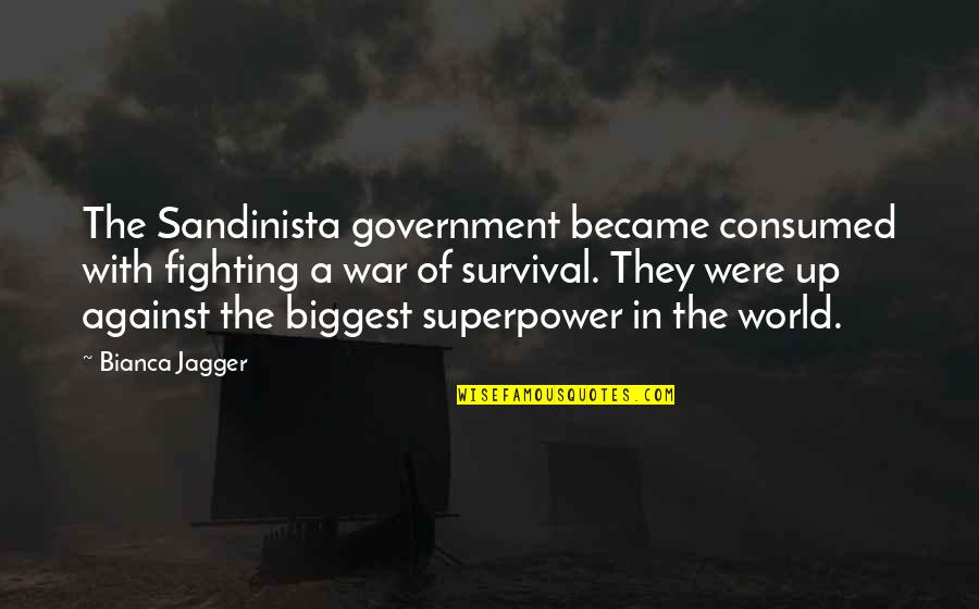 Arnice Johnson Quotes By Bianca Jagger: The Sandinista government became consumed with fighting a