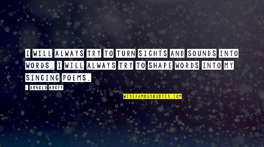Arnold Adoff Quotes By Arnold Adoff: I will always try to turn sights and