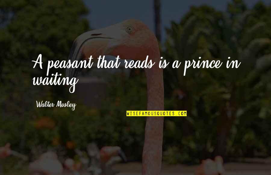 Arnold Diffrent Strokes Quotes By Walter Mosley: A peasant that reads is a prince in