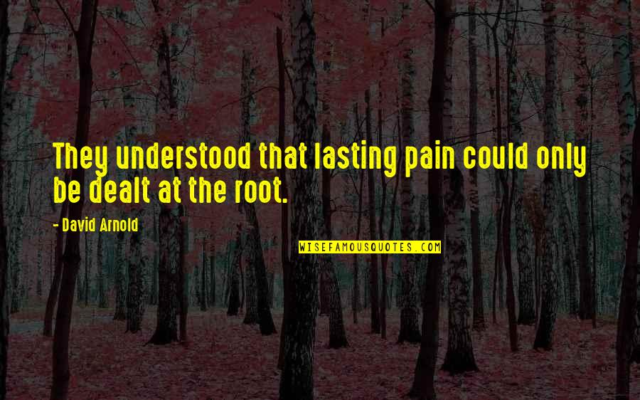 Arnold Pain Quotes By David Arnold: They understood that lasting pain could only be