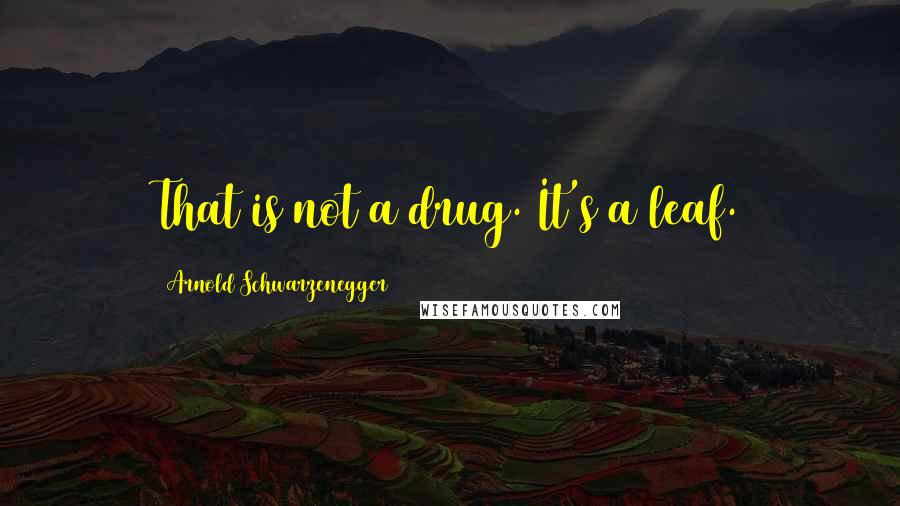 Arnold Schwarzenegger quotes: That is not a drug. It's a leaf.