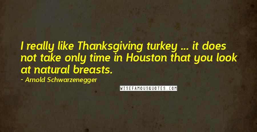 Arnold Schwarzenegger quotes: I really like Thanksgiving turkey ... it does not take only time in Houston that you look at natural breasts.