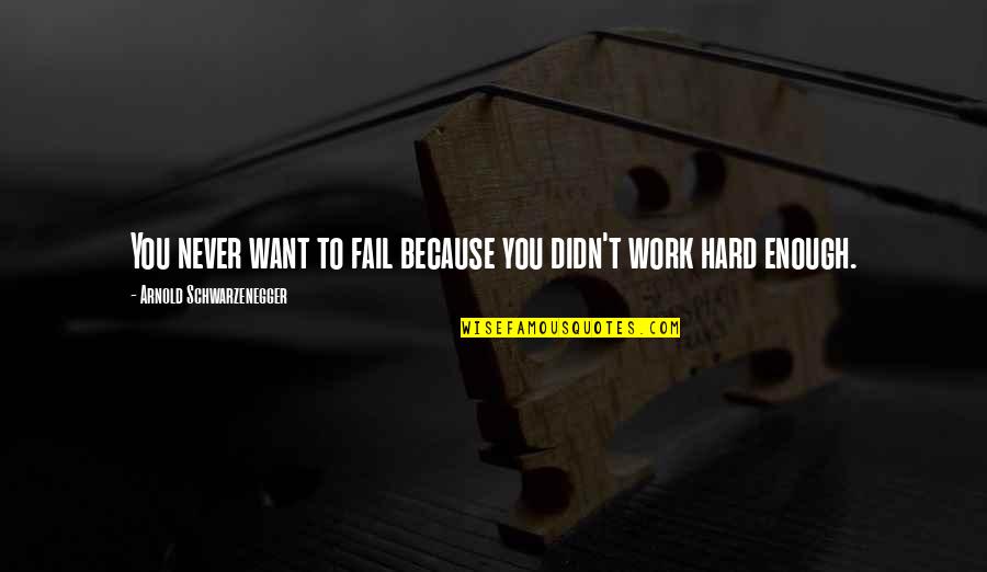 Arnold Schwarzenegger Quotes By Arnold Schwarzenegger: You never want to fail because you didn't Arnold Schwarzenegger Quotes By Arnold Schwarzenegger: You never want to fail because you didn't