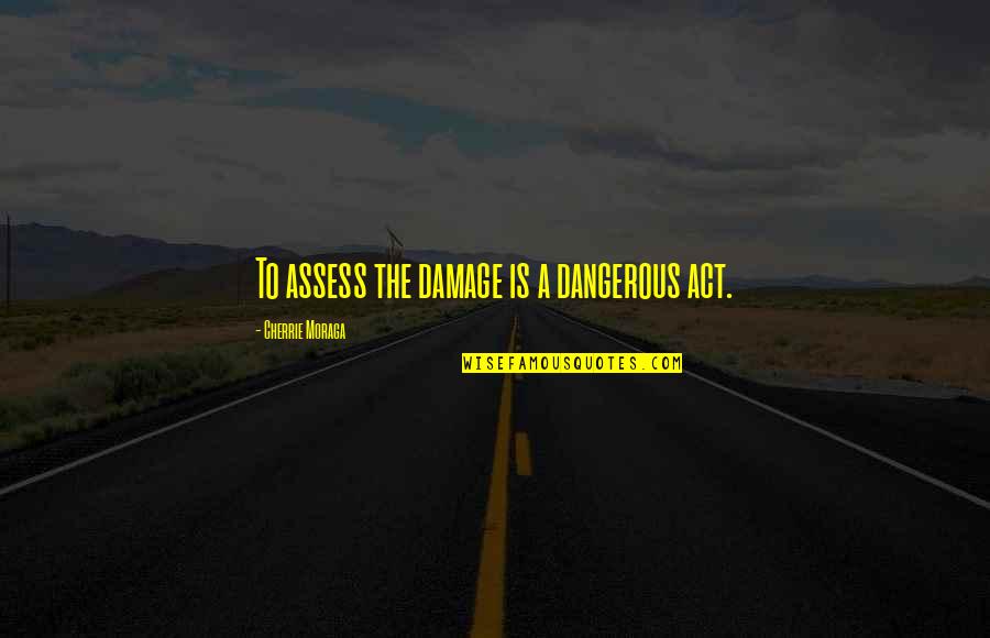 Arnold Strength Quotes By Cherrie Moraga: To assess the damage is a dangerous act.