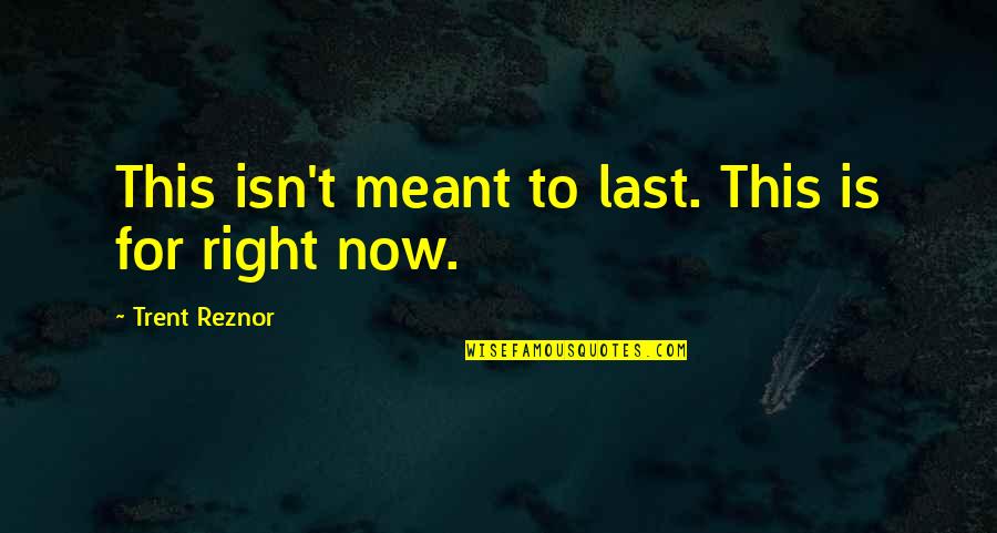 Arnolfo Di Quotes By Trent Reznor: This isn't meant to last. This is for Arnolfo Di Quotes By Trent Reznor: This isn't meant to last. This is for
