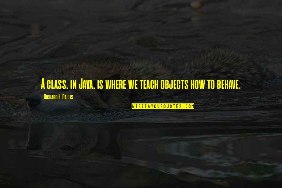 Arnoud Robert Quotes By Richard E. Pattis: A class, in Java, is where we teach Arnoud Robert Quotes By Richard E. Pattis: A class, in Java, is where we teach