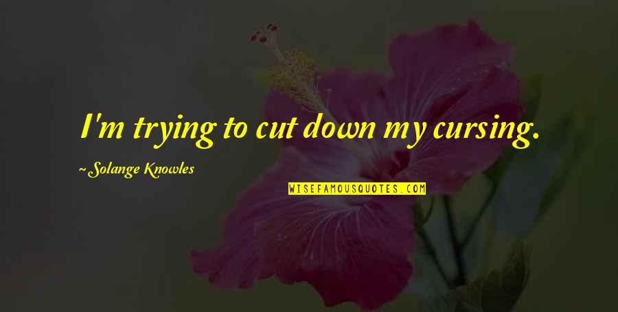 Arntson Construction Quotes By Solange Knowles: I'm trying to cut down my cursing.