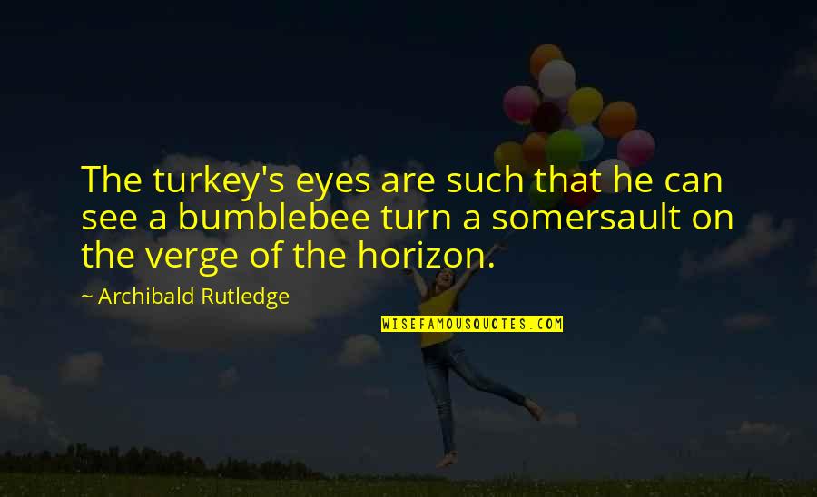 Arogansi Tni Quotes By Archibald Rutledge: The turkey's eyes are such that he can