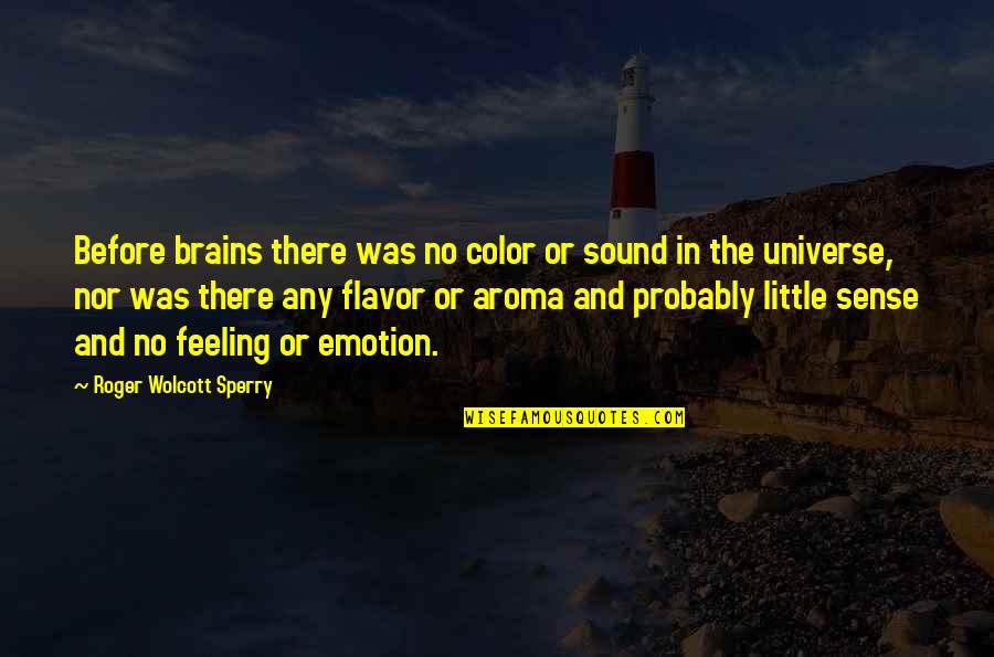 Aroma Quotes By Roger Wolcott Sperry: Before brains there was no color or sound