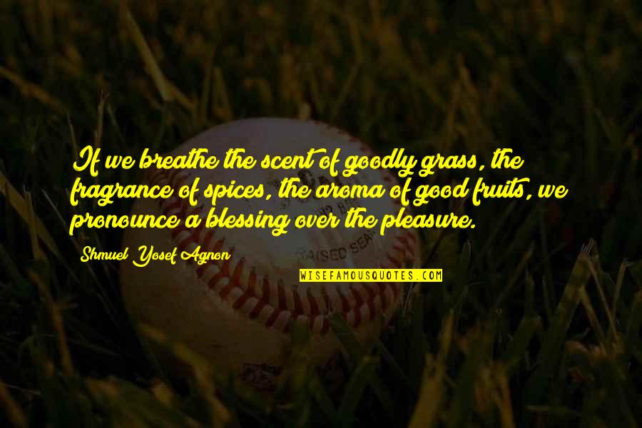Aroma Quotes By Shmuel Yosef Agnon: If we breathe the scent of goodly grass,