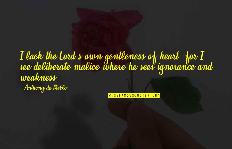 Around The World In 80 Brands Quotes By Anthony De Mello: I lack the Lord's own gentleness of heart,