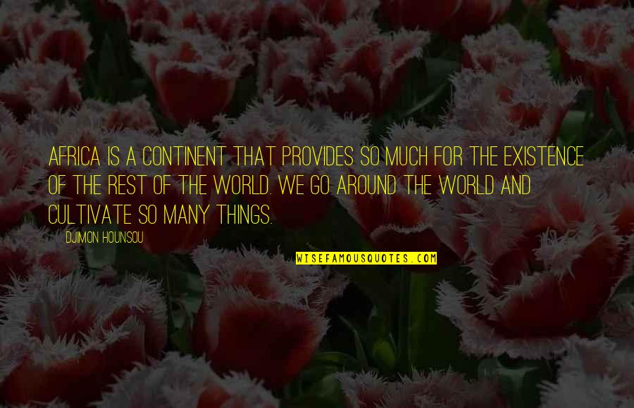 Around The World Quotes By Djimon Hounsou: Africa is a continent that provides so much Around The World Quotes By Djimon Hounsou: Africa is a continent that provides so much