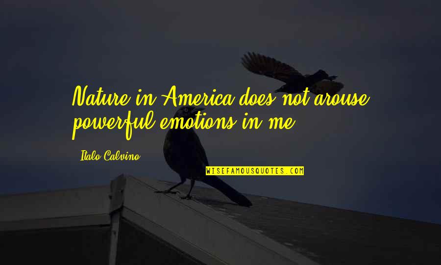 Arouse Quotes By Italo Calvino: Nature in America does not arouse powerful emotions