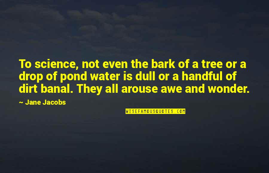 Arouse Quotes By Jane Jacobs: To science, not even the bark of a