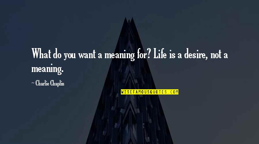 Arousing Text Quotes By Charlie Chaplin: What do you want a meaning for? Life