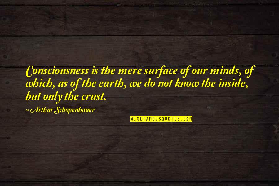 Arraial Dajuda Quotes By Arthur Schopenhauer: Consciousness is the mere surface of our minds,