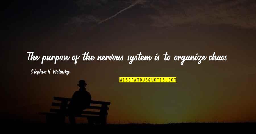 Arraign'd Quotes By Stephen H. Wolinsky: The purpose of the nervous system is to