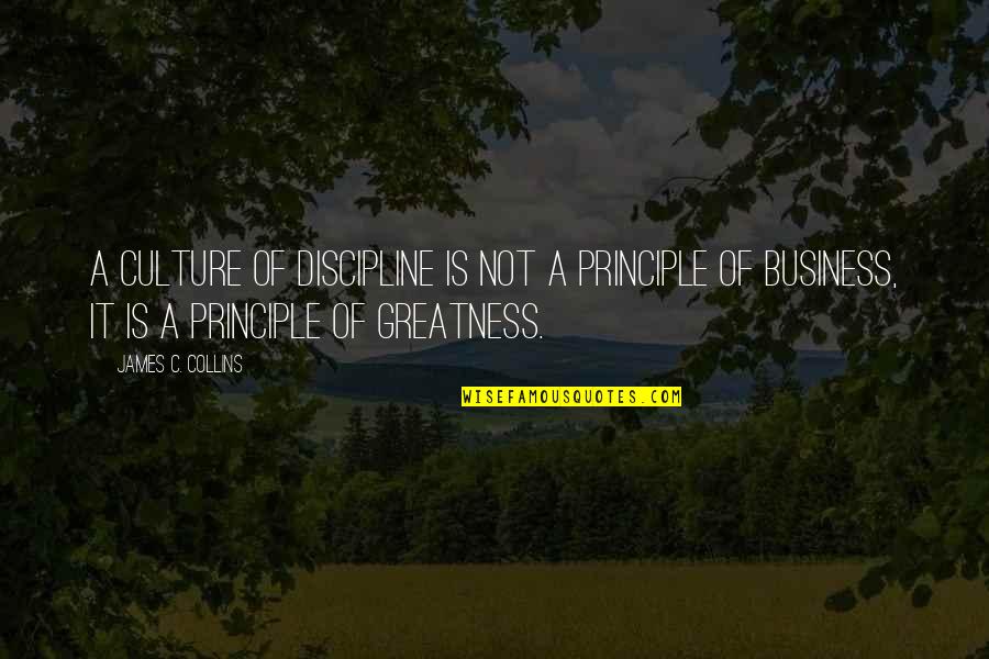 Arrangeable Quotes By James C. Collins: A culture of discipline is not a principle