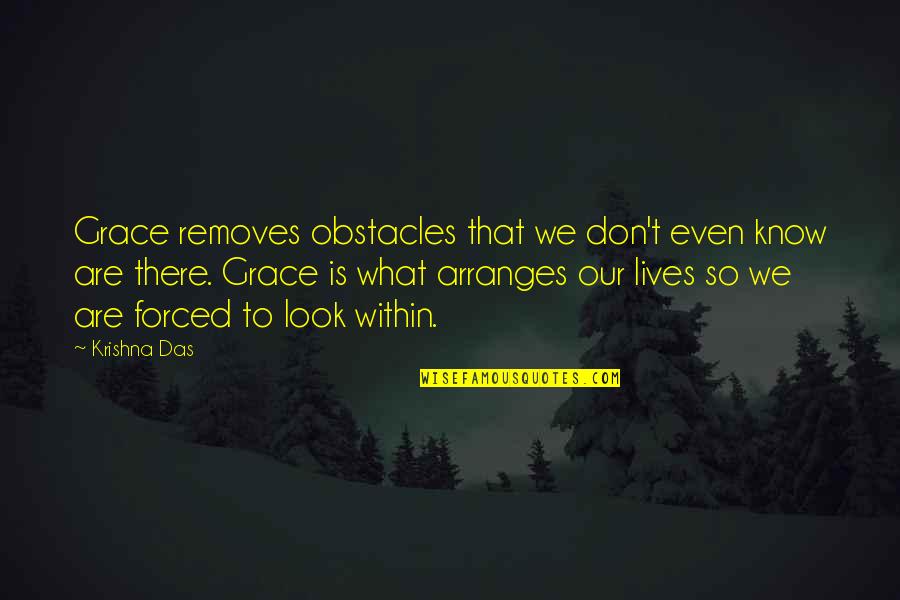 Arranges Quotes By Krishna Das: Grace removes obstacles that we don't even know