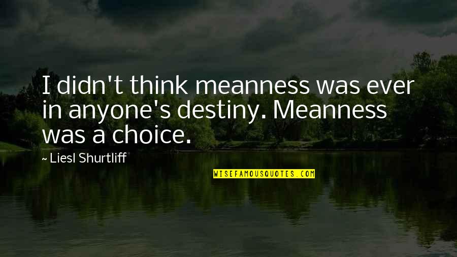 Arrears Of Pay Quotes By Liesl Shurtliff: I didn't think meanness was ever in anyone's