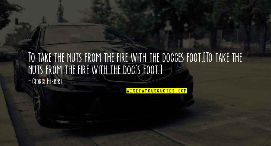 Arrebatado En Quotes By George Herbert: To take the nuts from the fire with Arrebatado En Quotes By George Herbert: To take the nuts from the fire with