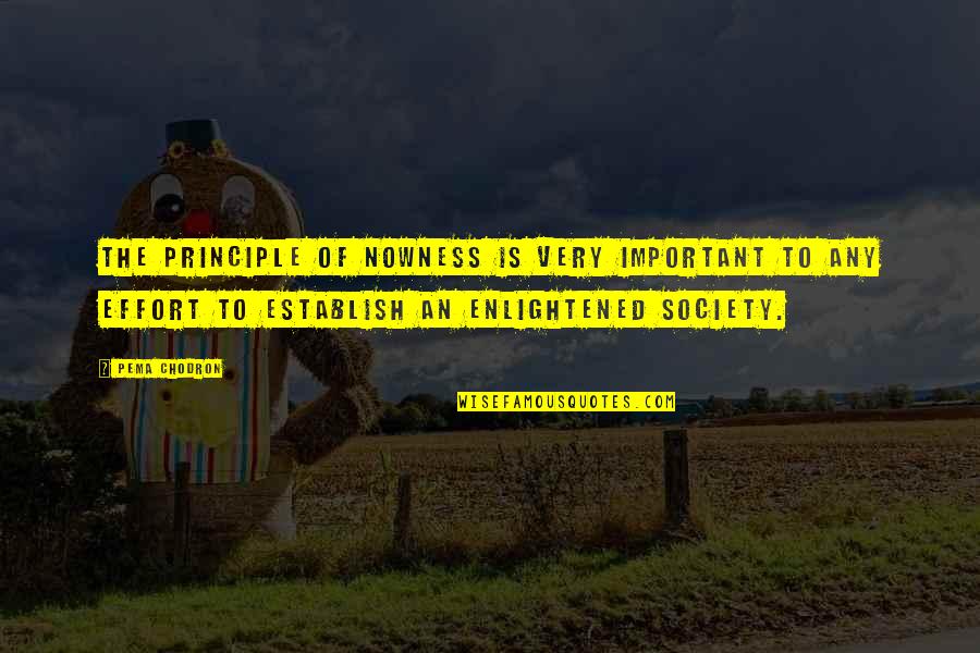 Arrested Developement I Just Blue Myself Quotes By Pema Chodron: The principle of nowness is very important to Arrested Developement I Just Blue Myself Quotes By Pema Chodron: The principle of nowness is very important to