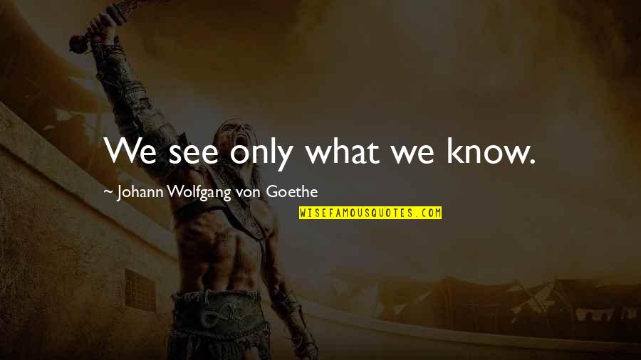 Arringtons Rvs Quotes By Johann Wolfgang Von Goethe: We see only what we know.