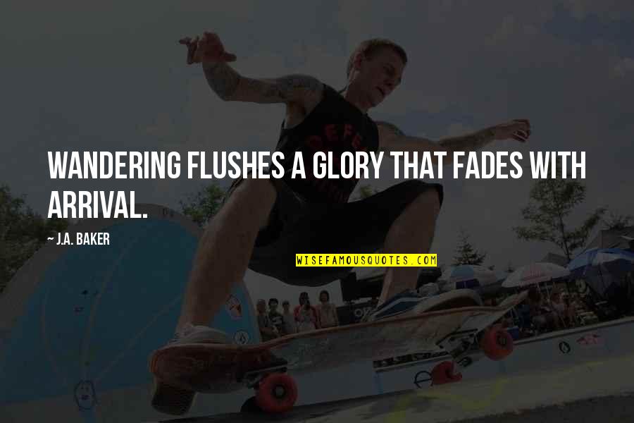 Arrival Quotes By J.A. Baker: Wandering flushes a glory that fades with arrival. Arrival Quotes By J.A. Baker: Wandering flushes a glory that fades with arrival.