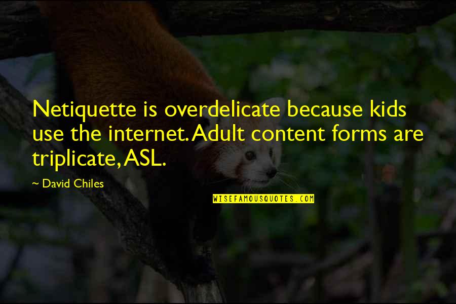Arrivent A Grand Quotes By David Chiles: Netiquette is overdelicate because kids use the internet.