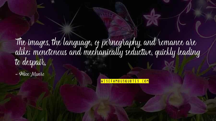 Arrodillada Quotes By Alice Munro: The images, the language, of pornography, and romance