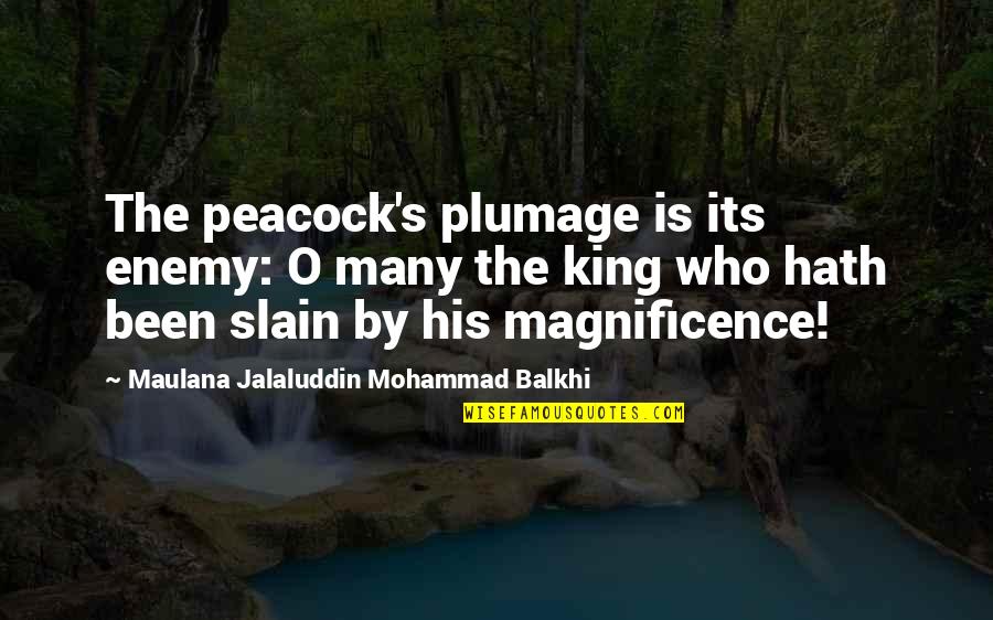 Arrogance And Humility Quotes By Maulana Jalaluddin Mohammad Balkhi: The peacock's plumage is its enemy: O many