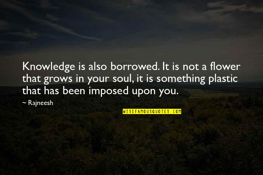 Arrogant Butcher Quotes By Rajneesh: Knowledge is also borrowed. It is not a