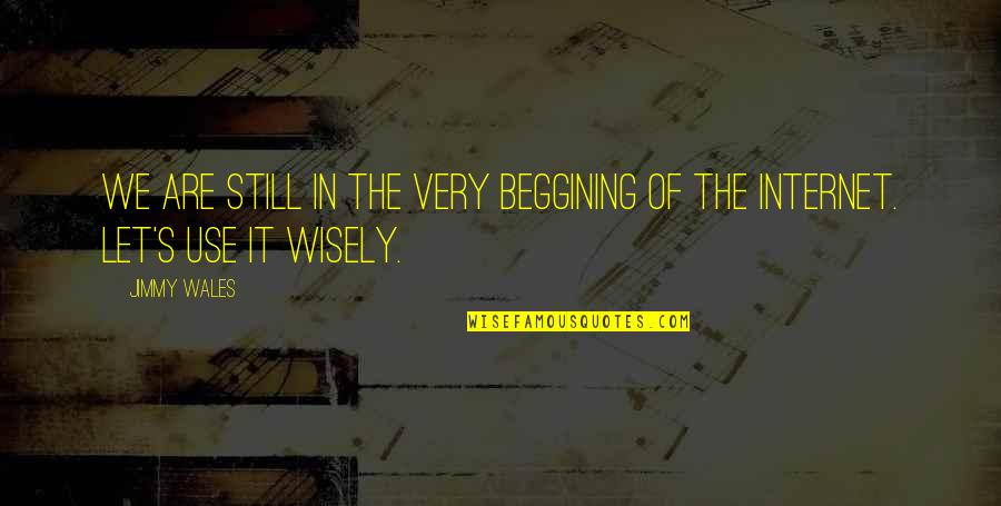 Arrogantly Self Quotes By Jimmy Wales: We are still in the very beggining of