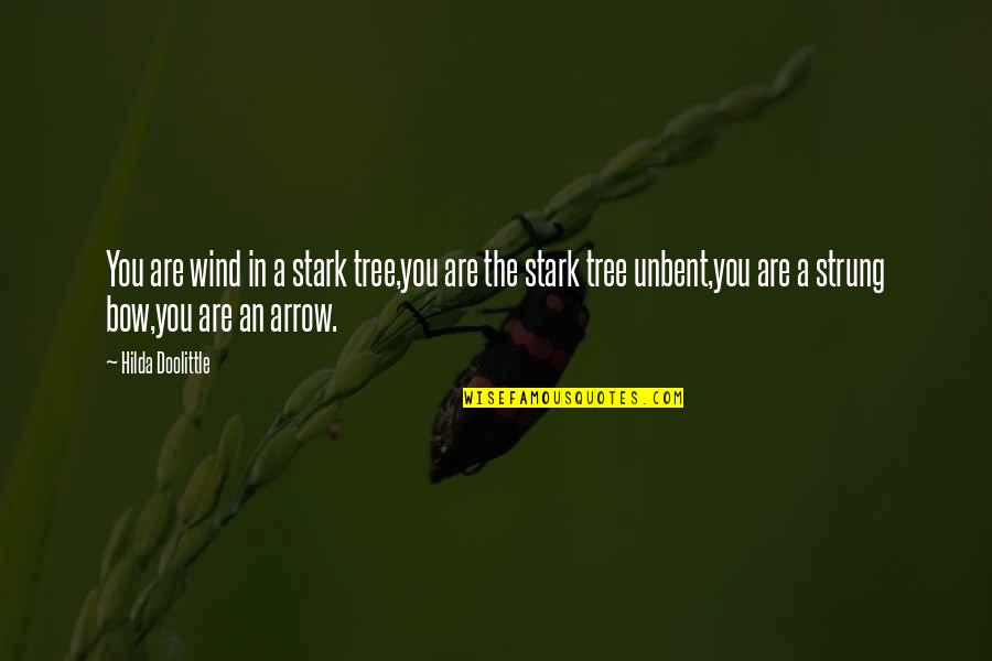 Arrow And Bow Quotes By Hilda Doolittle: You are wind in a stark tree,you are