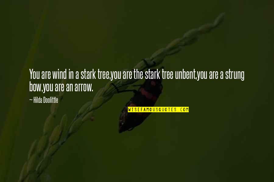 Arrow And Bow Quotes By Hilda Doolittle: You are wind in a stark tree,you are Arrow And Bow Quotes By Hilda Doolittle: You are wind in a stark tree,you are