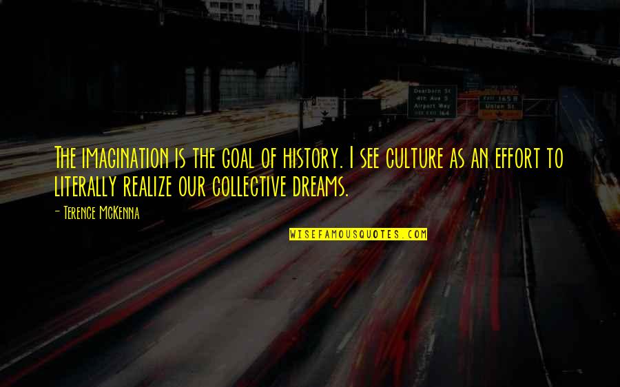 Arrow Stephen Amell Quotes By Terence McKenna: The imagination is the goal of history. I