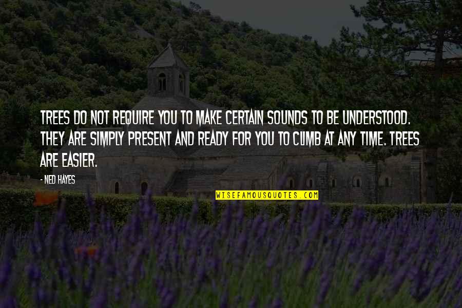 Arroyuelo Y Quotes By Ned Hayes: Trees do not require you to make certain Arroyuelo Y Quotes By Ned Hayes: Trees do not require you to make certain